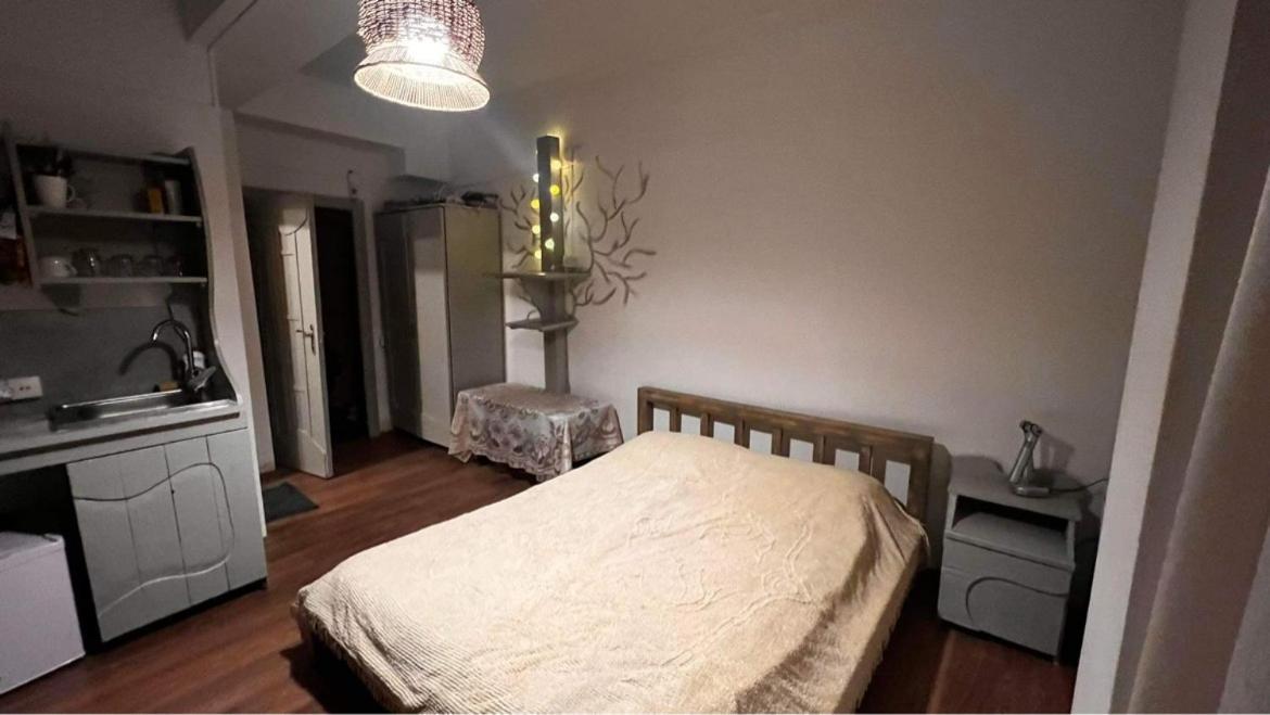 Hotel Mgzavrebi Бакуриани Экстерьер фото